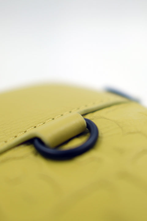 Citron Voyage Sleeve