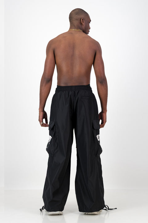 DES ARTS VOL. CARGOS