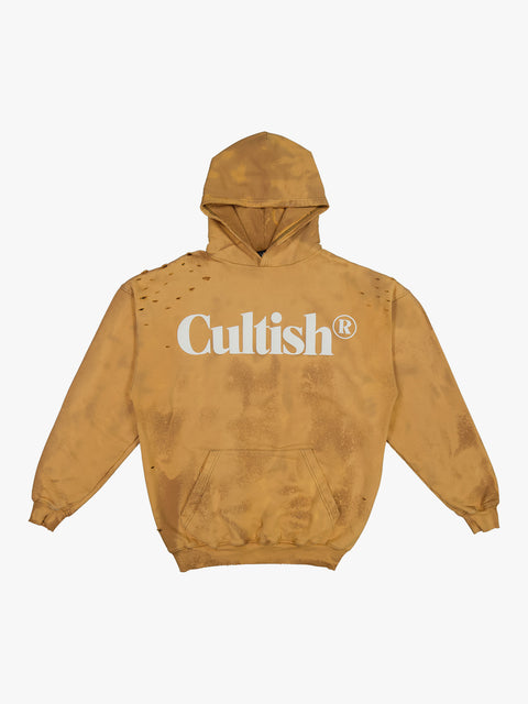 ⓔ Classic Logo Hoodie